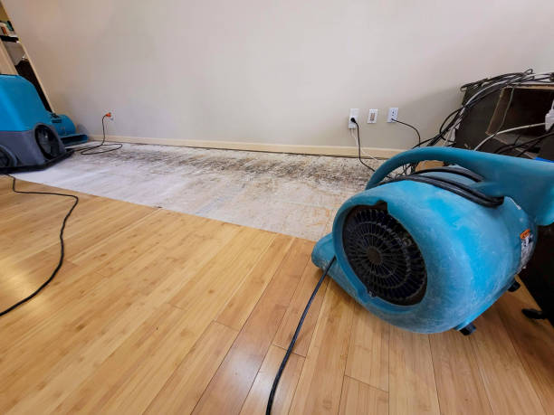 Professional Ceiling Water Damage Repair technician working in Hiram, OH